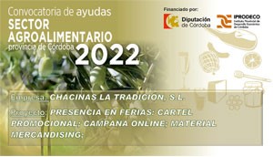 Ayudas Diputación de Cordoba 2022